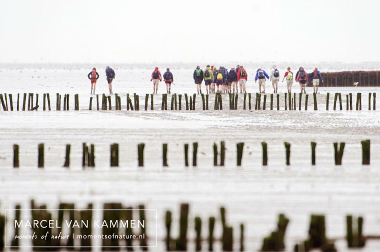Het Driezumer Tolhuis Driesum ภายนอก รูปภาพ